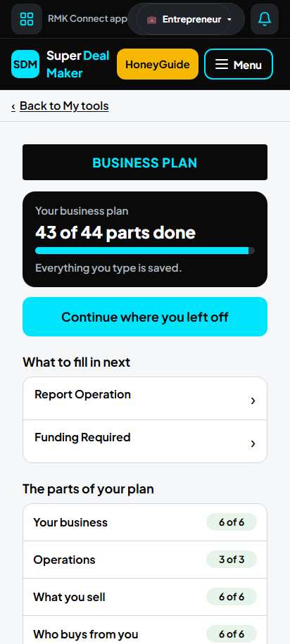 Screenshot for step 3: Your business plan page
