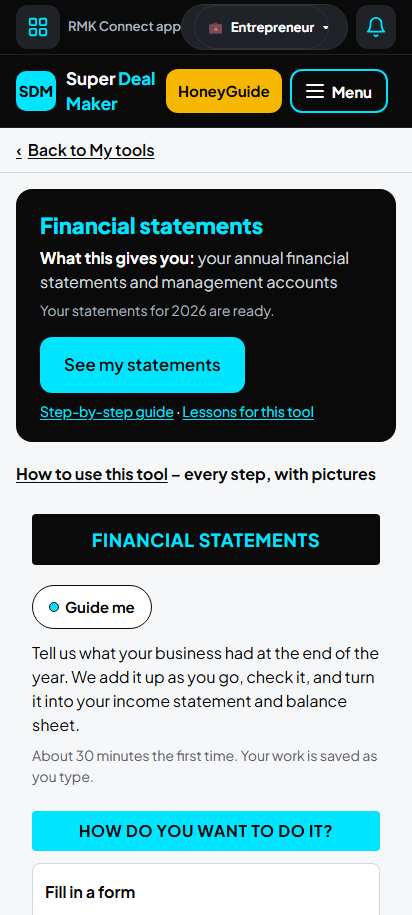 Screenshot for step 4: Your financial statements page