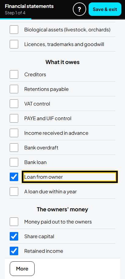 Screenshot for step 8: What the business owns and owes