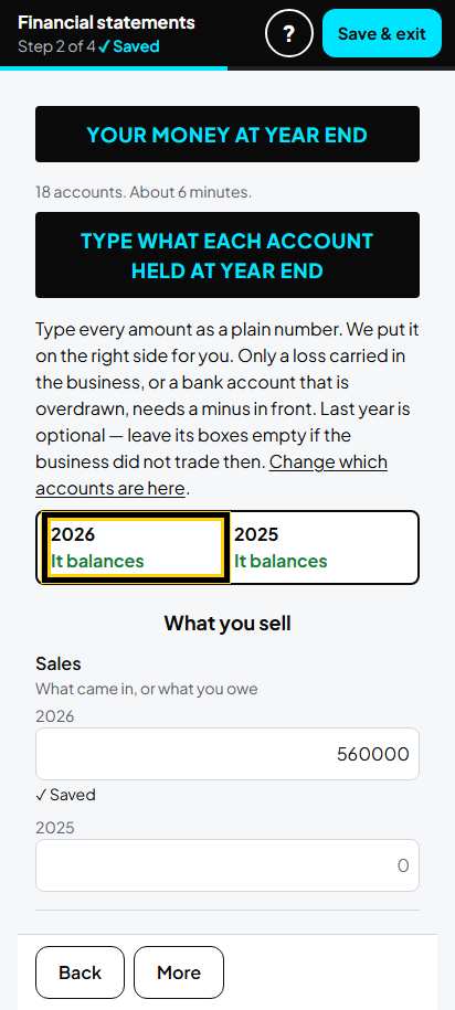 Screenshot for step 15: It balances