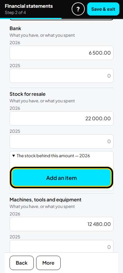 Screenshot for step 12: What the business owns, and the stock list