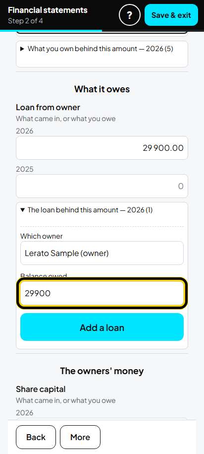 Screenshot for step 17: Loan from owner