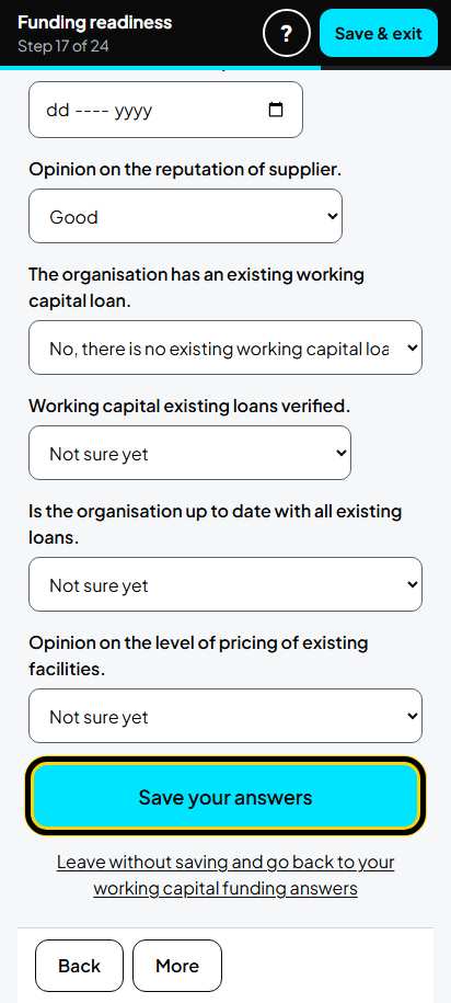 Screenshot for step 24: Screen 17. Working capital funding